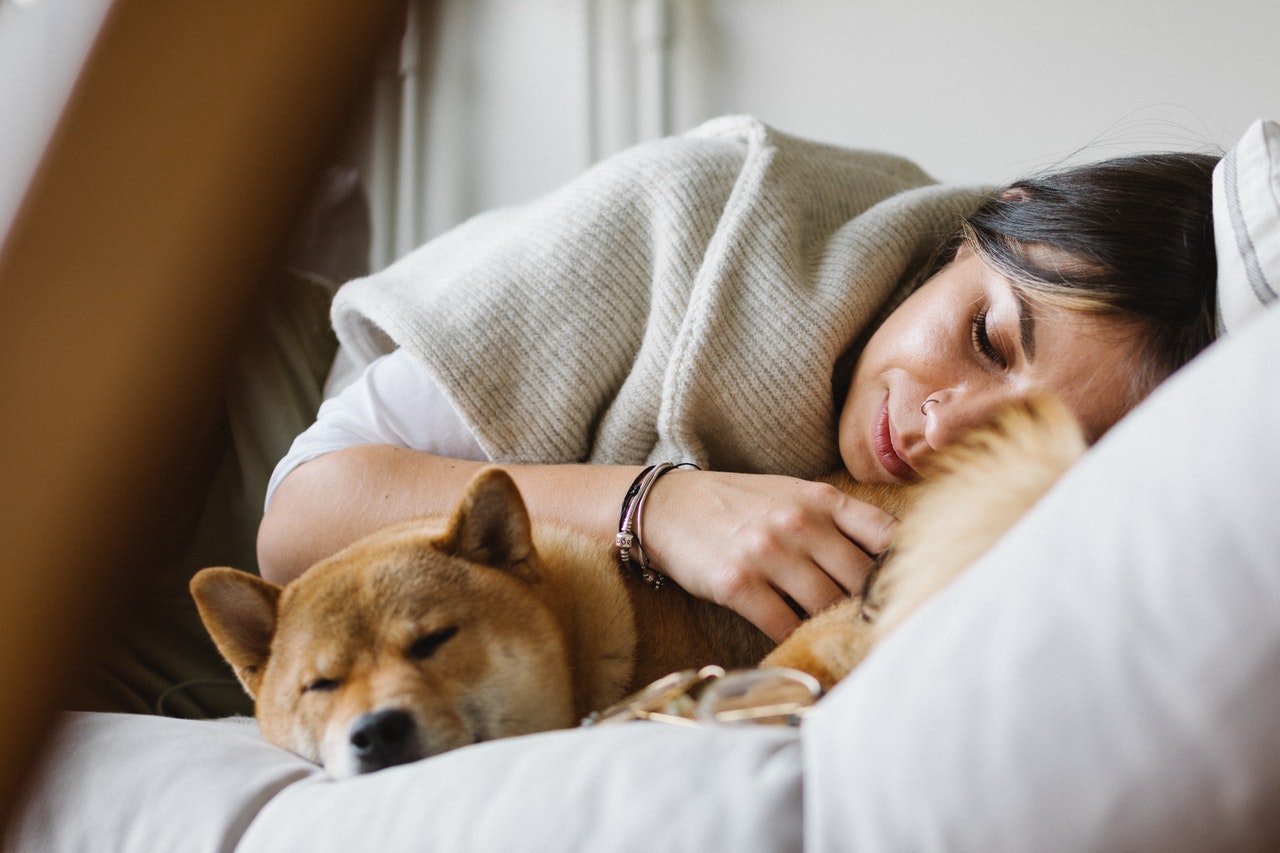النوم مع قطة أو كلب ، هل هو آمن للصحة؟