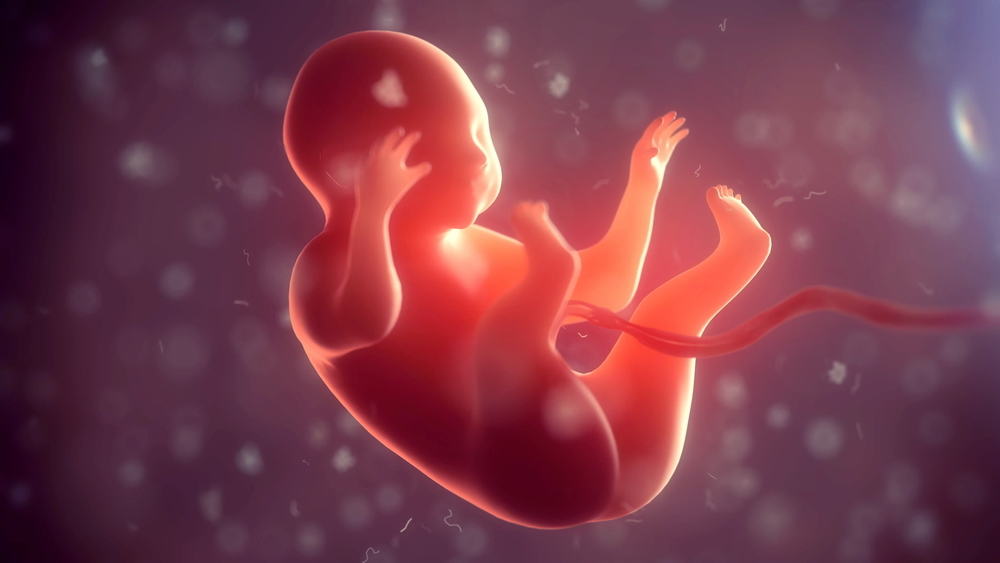 ทบทวนอย่างลึกซึ้งยิ่งขึ้นเกี่ยวกับทารกในครรภ์ที่ห่อด้วยสายสะดือในครรภ์