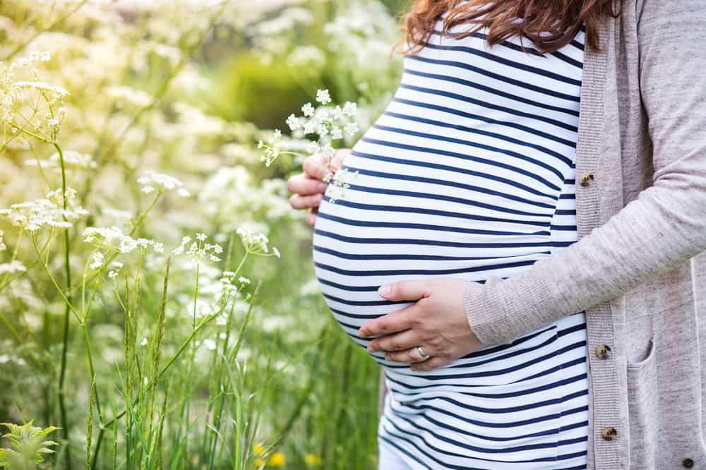 Doğum Kusurlarına Neden Olan Kimyasallar ve Tehlikeli Maddeler Listesi