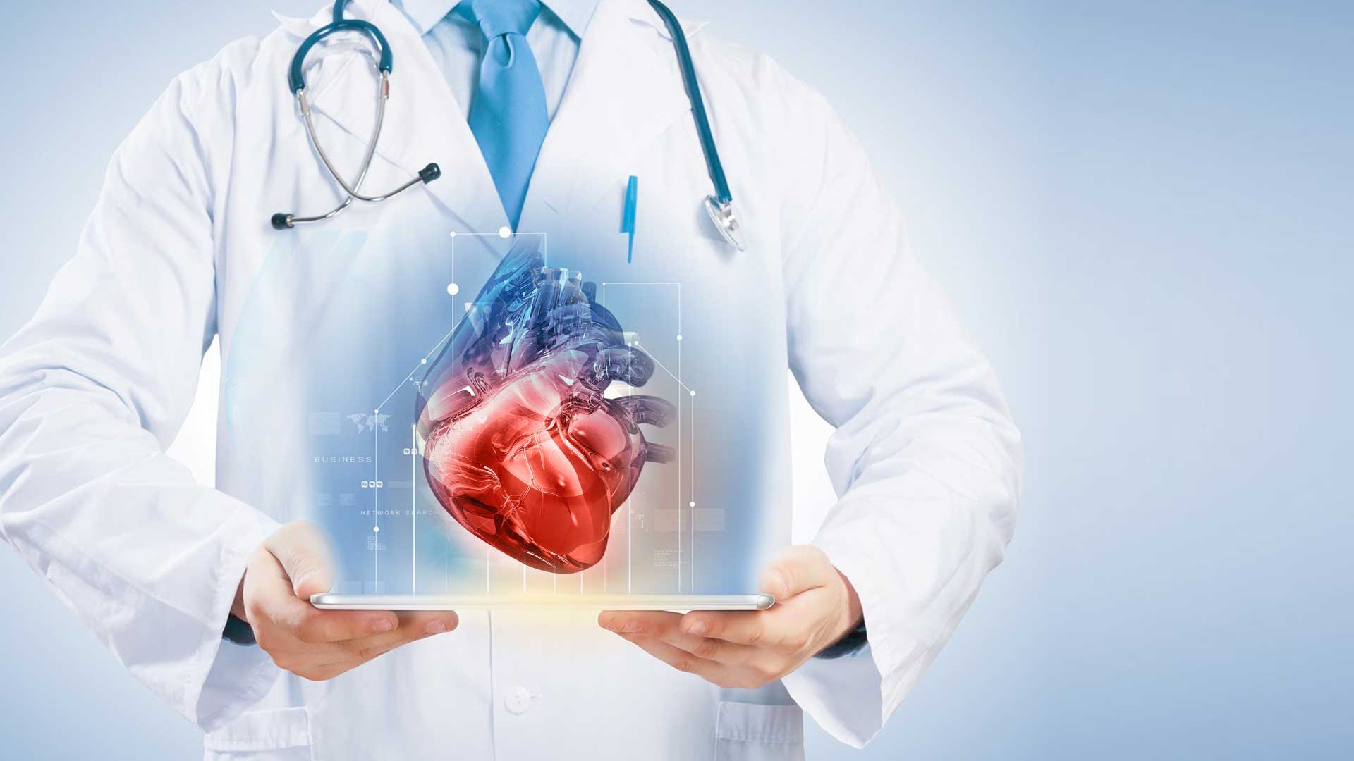 Conoscere la funzione delle valvole cardiache e i loro problemi di salute
