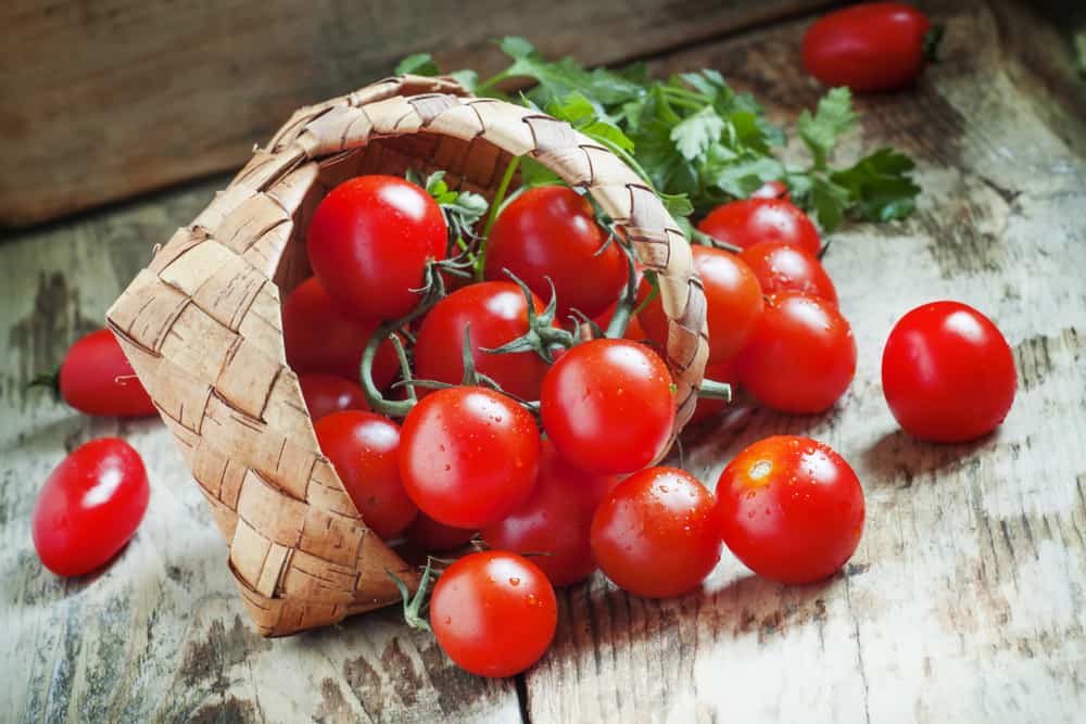 4 Khasiat Tomato Ceri yang tidak boleh dilepaskan