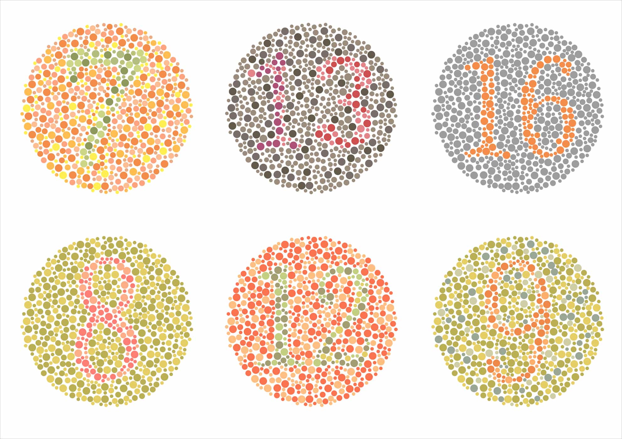 أنواع عمى الألوان المختلفة التي يجب أن تعرفها