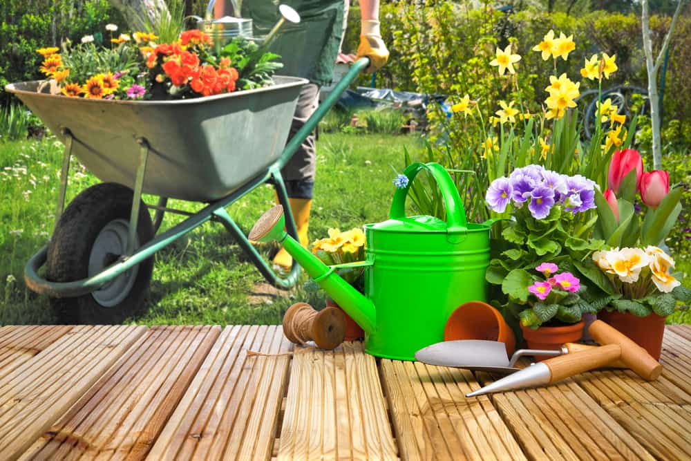 5 benefici del giardinaggio per la salute fisica e mentale