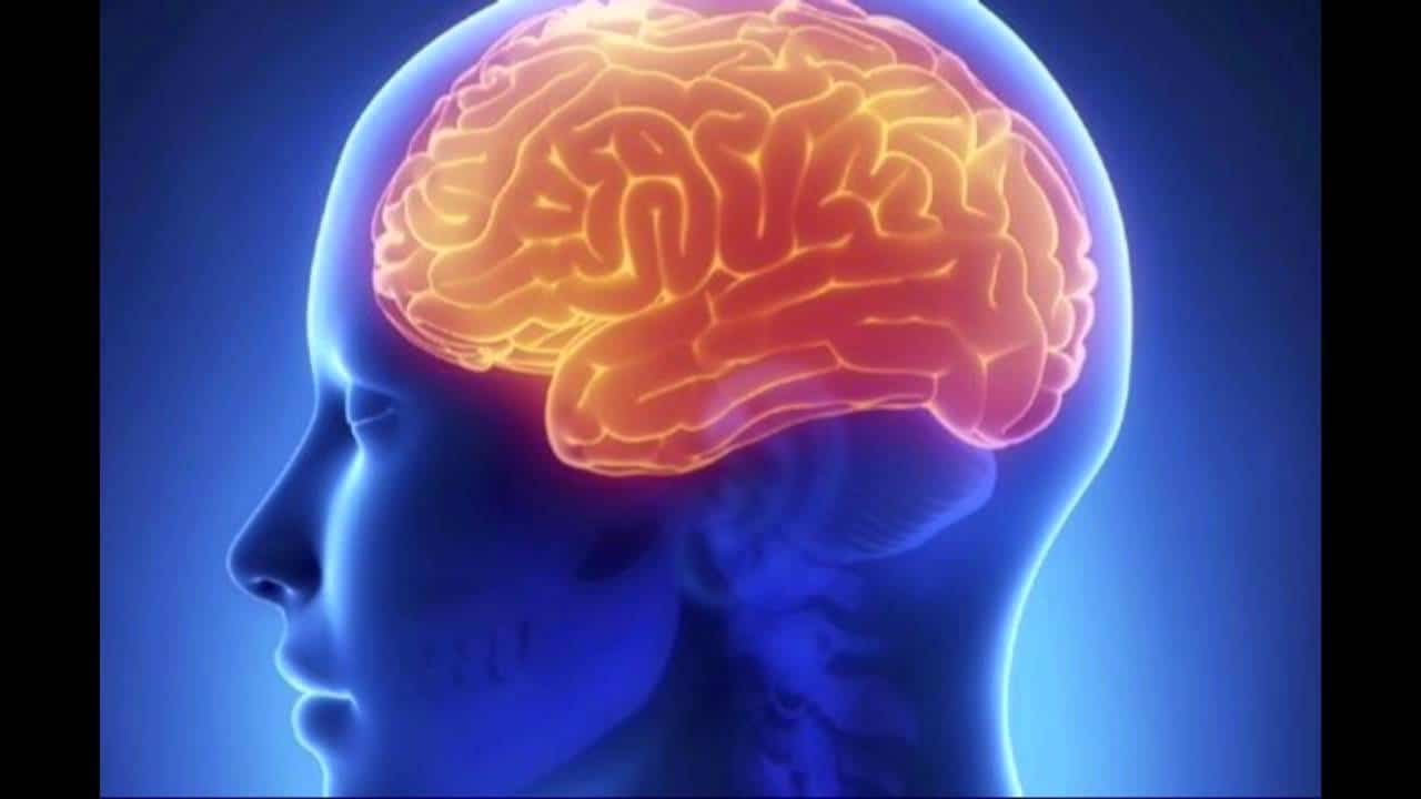 4 capacità del cervello umano che potresti non conoscere