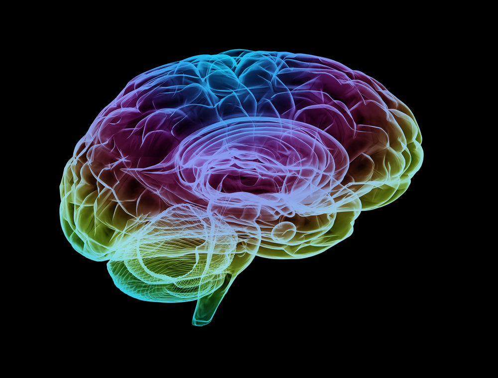 5 Fakta Menakjubkan mengenai Otak Manusia yang Harus Anda Ketahui