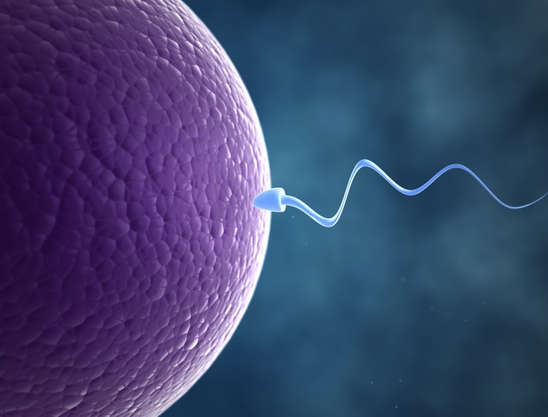 A che età gli uomini sono considerati i più fertili e hanno la migliore qualità dello sperma?