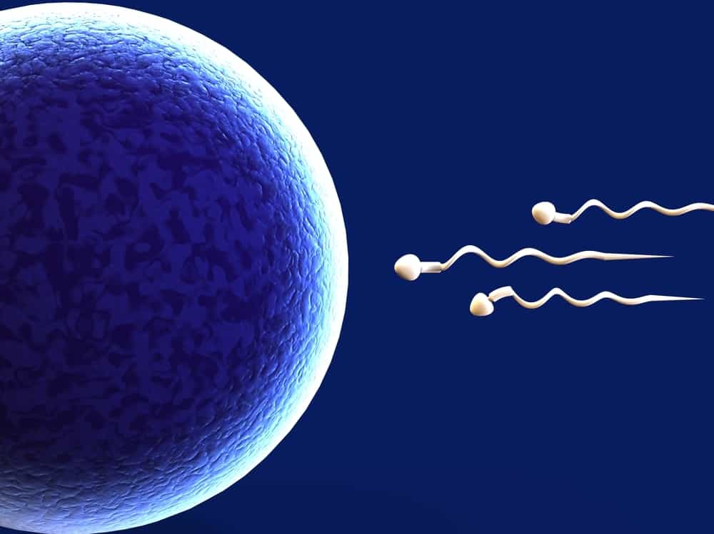 Conosci Spermicida, uno strumento contraccettivo per uccidere lo sperma