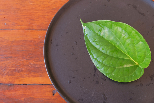 Conosci 5 benefici della foglia di betel per superare i sintomi della sinusite