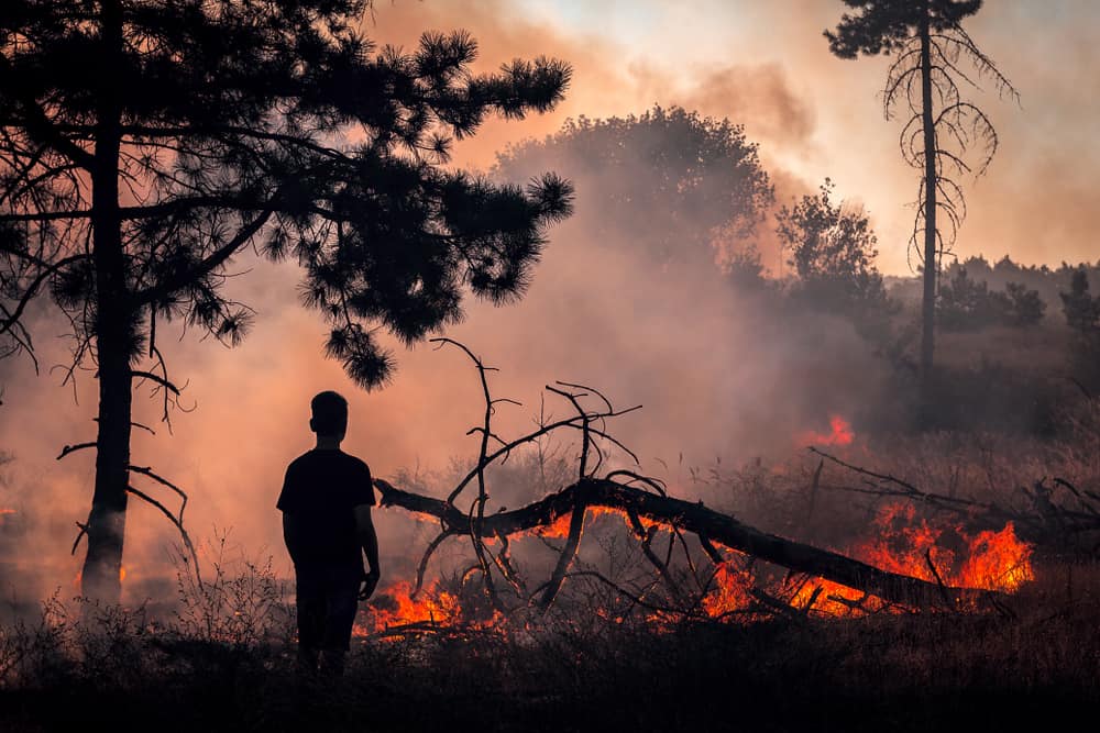 الأخطار التي قد تنشأ من استنشاق دخان حرائق الغابات