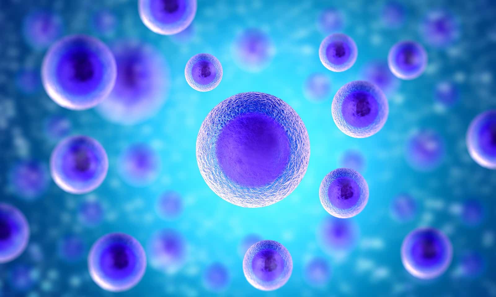 In realtà, quante cellule ci sono nel corpo umano?