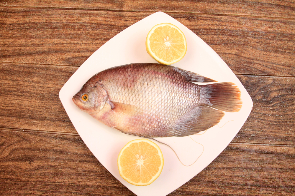 5 benefici del pesce d'acqua dolce per la salute