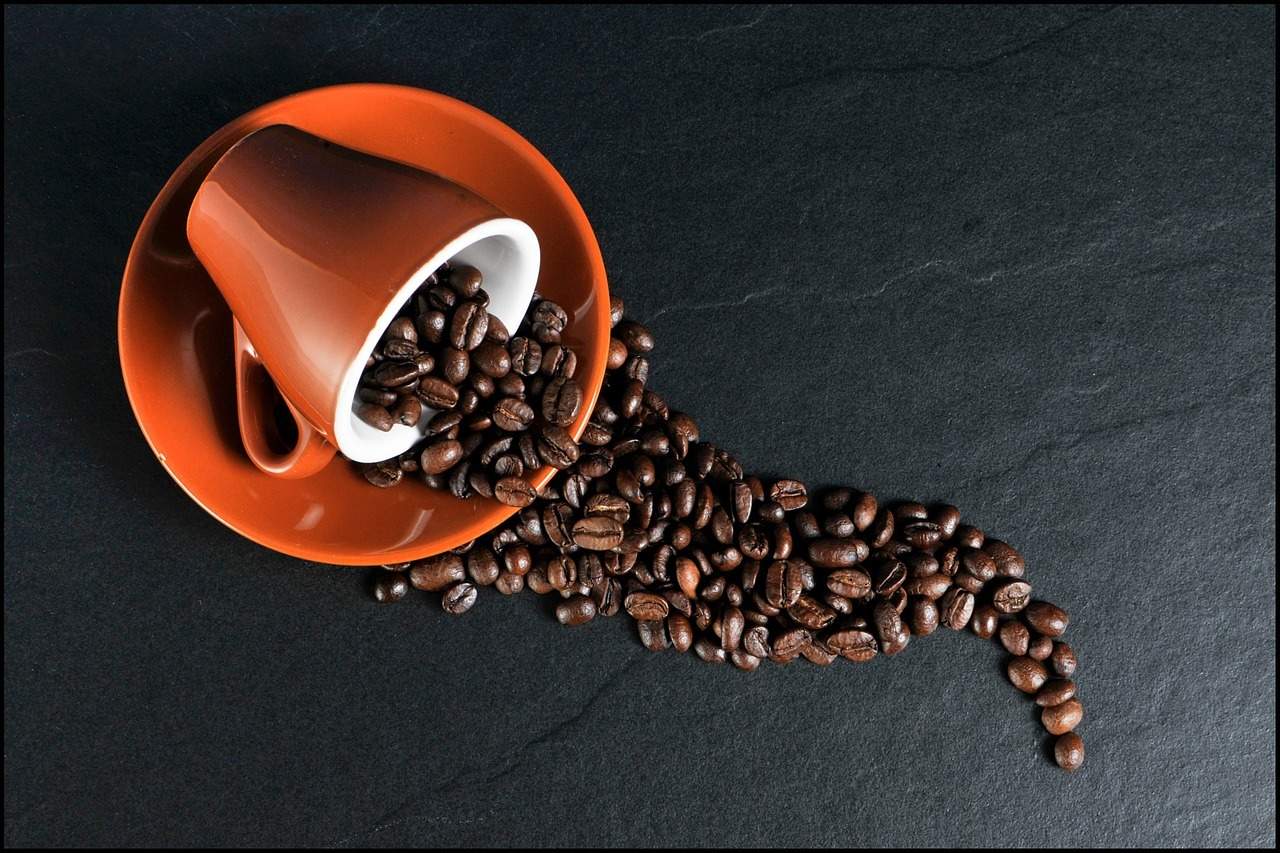 Peraturan minum kopi bagi anda yang meminumnya setiap hari