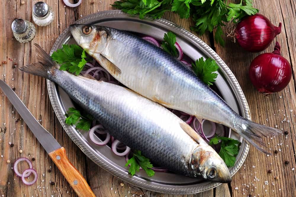 Walaupun bertubuh kecil, 6 kebaikan herring ini baik untuk tubuh