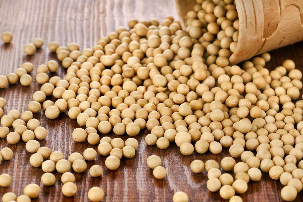 大豆が男性の出産を減らすことができるというのは本当ですか？