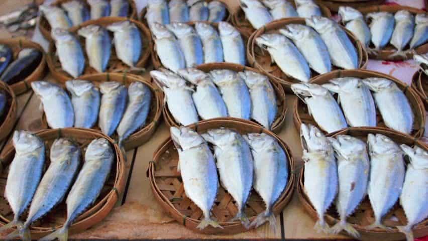 Benefici e rischi del consumo di pesce salato che devono essere osservati