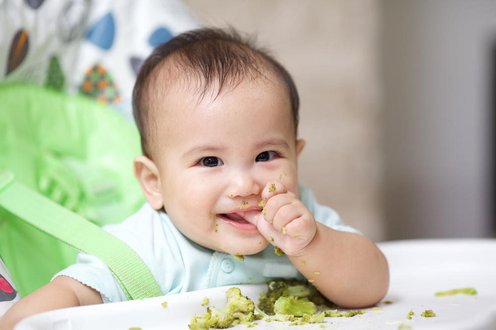 7 scelte di semplici ricette MPASI di manzo per aumentare il peso del bambino