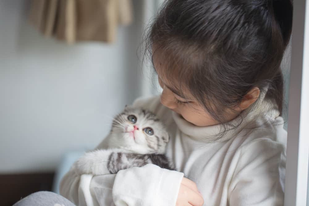 5 أمراض من القطط يمكن أن تنتقل إلى طفلك