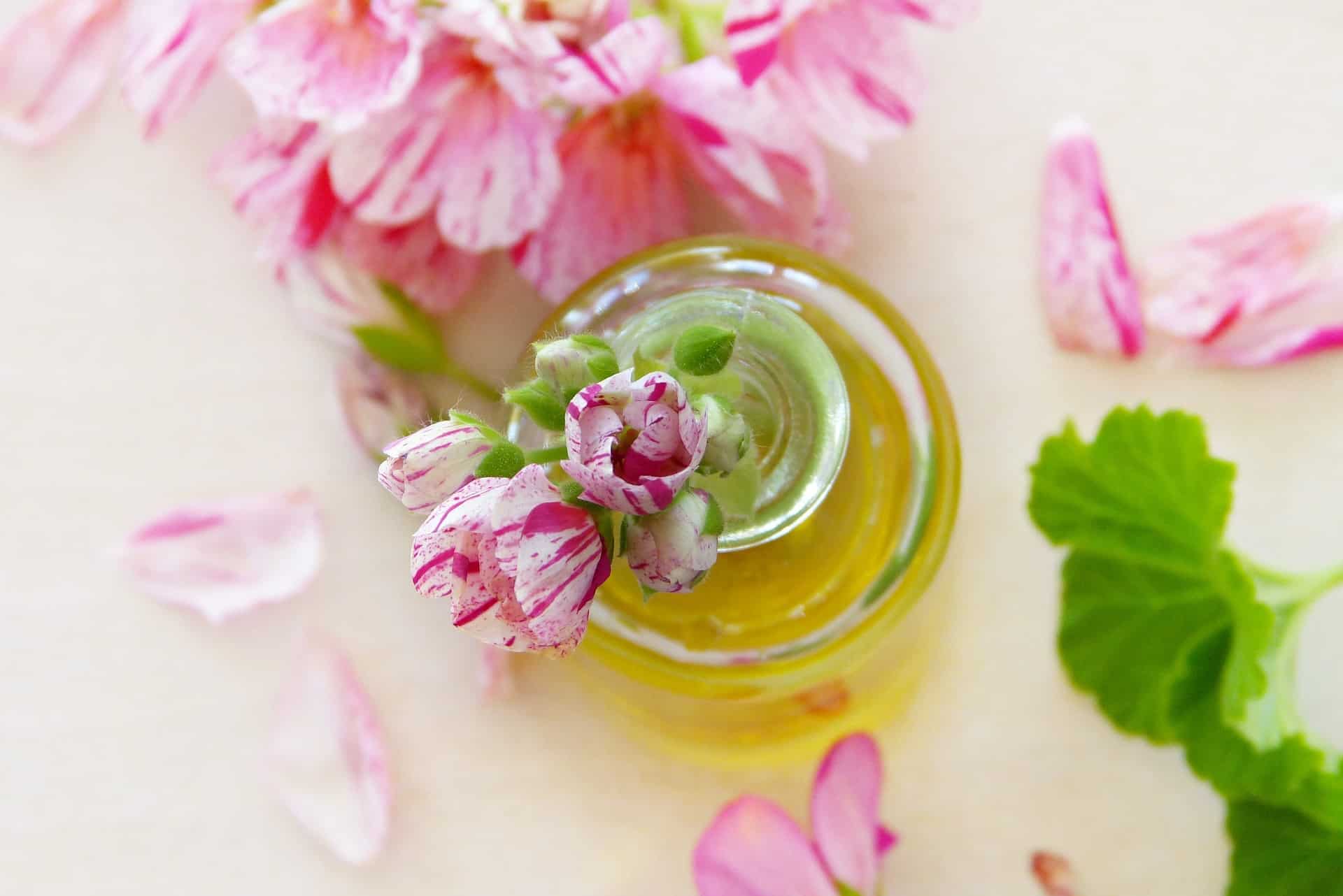 4 benefici dell'olio di fiori di geranio per la salute
