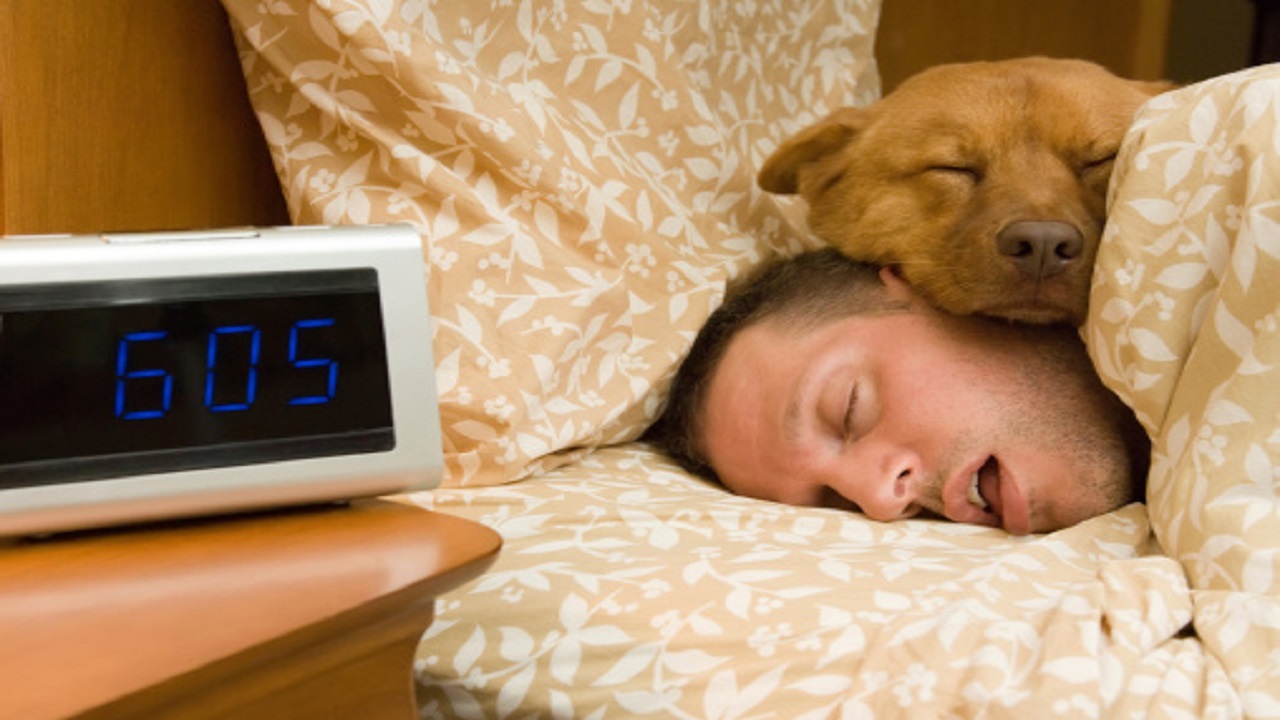 دائما نعسان خلال النهار؟ ربما لديك فرط النوم