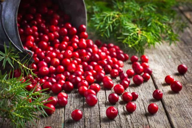 3 ประโยชน์ที่น่าอัศจรรย์ของผลไม้แครนเบอร์รี่สำหรับสุขภาพร่างกาย
