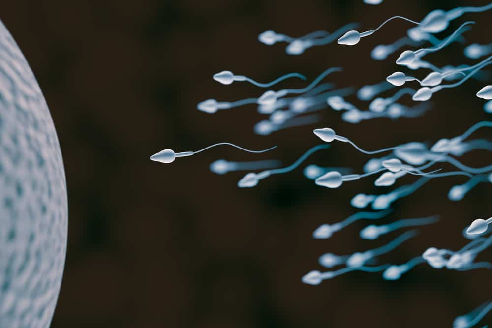 Quali sono le caratteristiche dello sperma malsano?